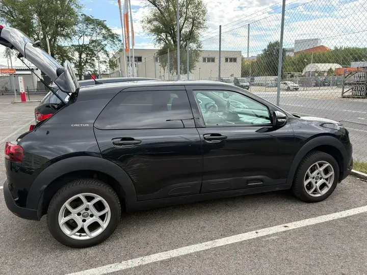 Citroen C4 Cactus 2019 photo 3