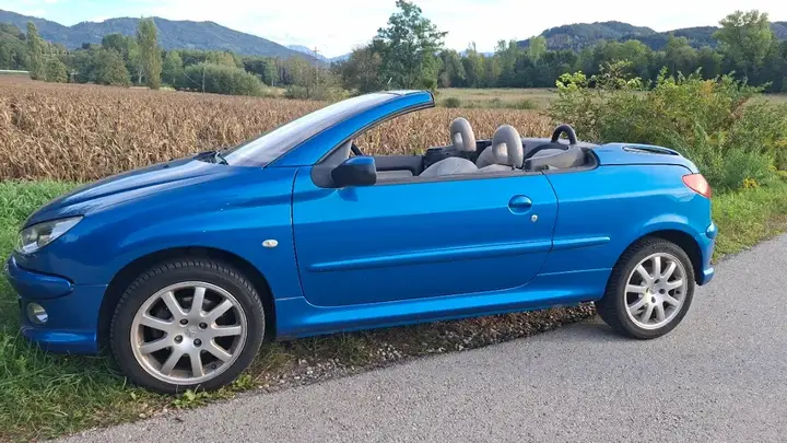 Peugeot 206 2005 photo 2