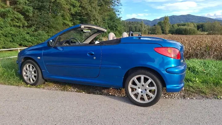 Peugeot 206 2005 photo 3