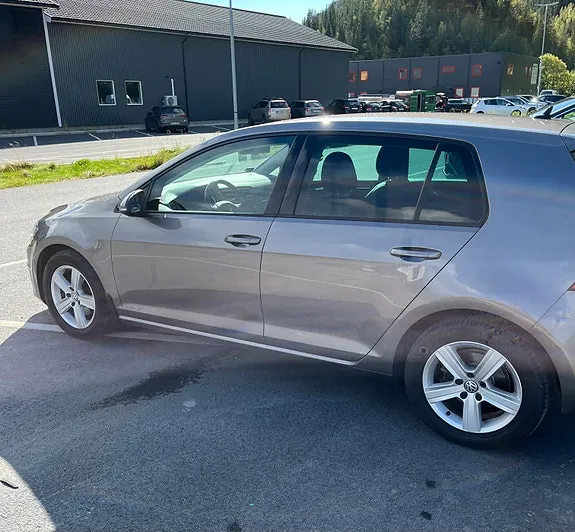 Volkswagen Golf Vii 2014 photo 2