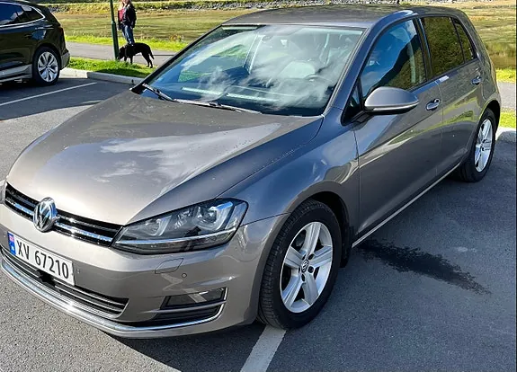 Volkswagen Golf Vii 2014 photo 4