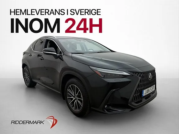Lexus Nx350H 2023 photo 3