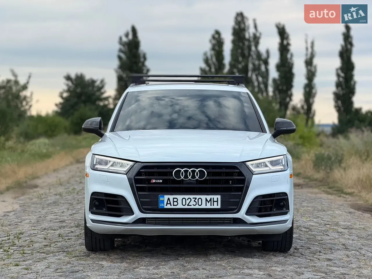 Audi Sq5 2018 photo 2