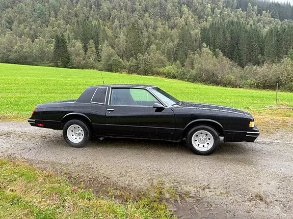 Chevrolet Malibu 1979 photo 2