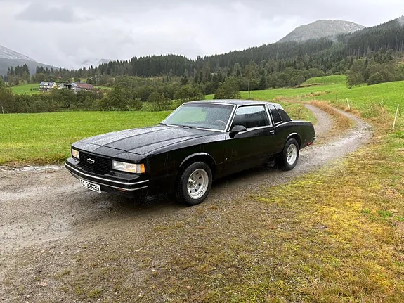 Chevrolet Malibu 1979 photo 4