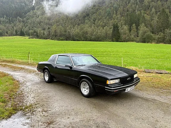 Chevrolet Malibu 1979 photo 3