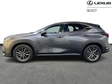 Lexus Nx 2024 photo 3