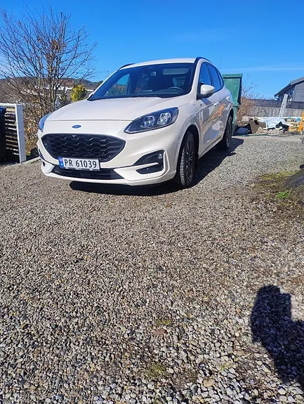 Ford Kuga 2020 photo 2
