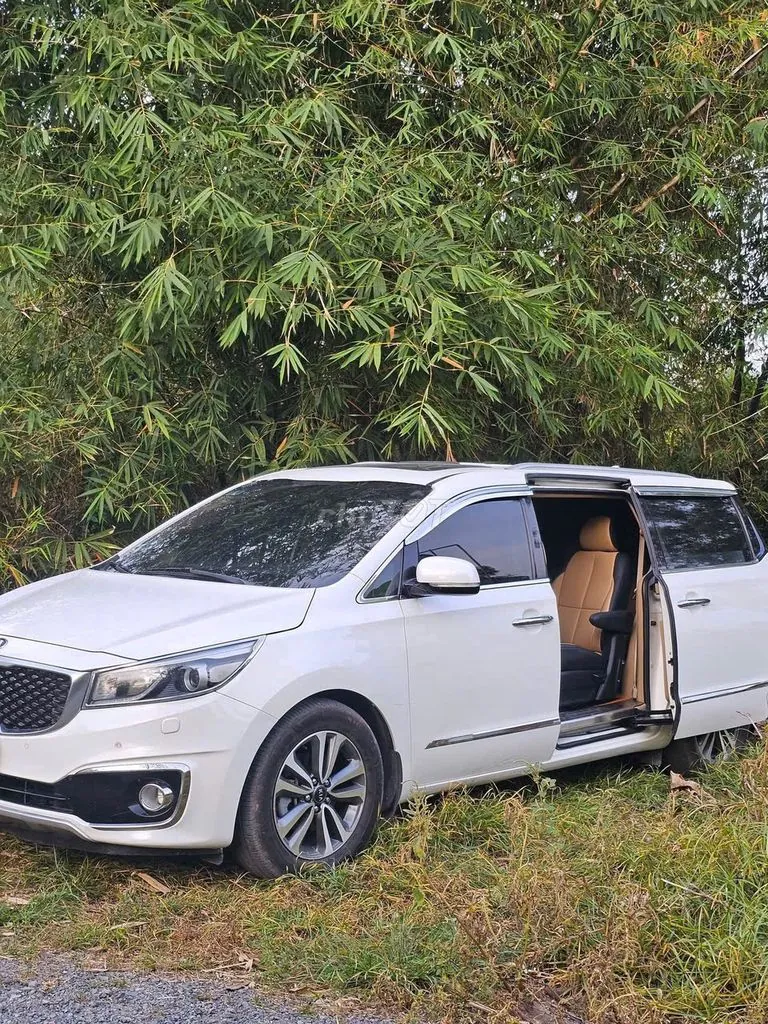 Kia Sedona 2017 photo 3