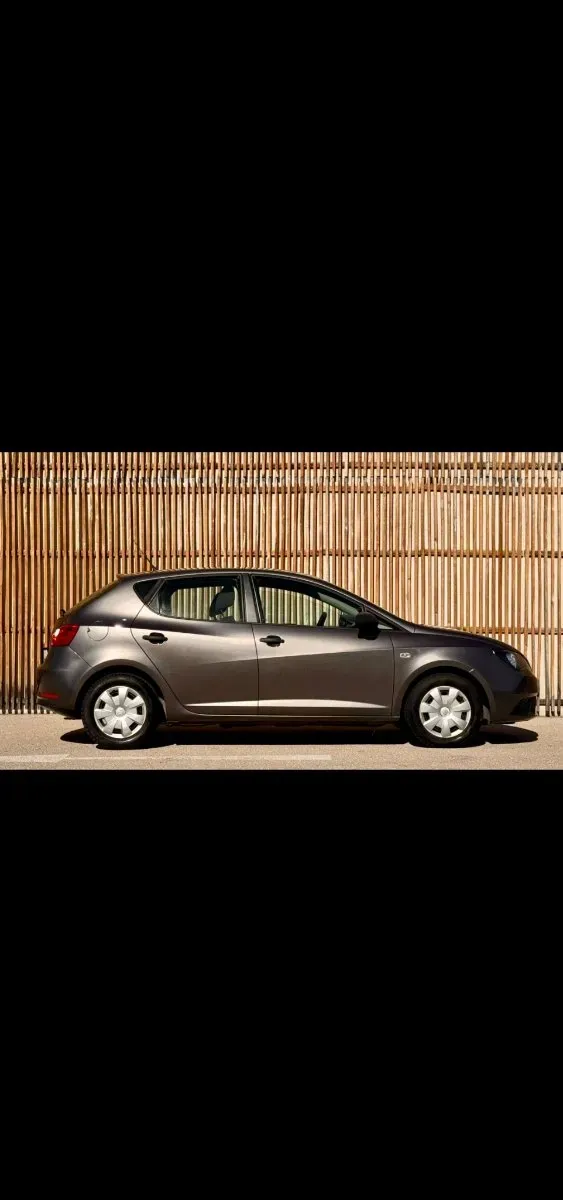 Seat Ibiza 2014 photo 2