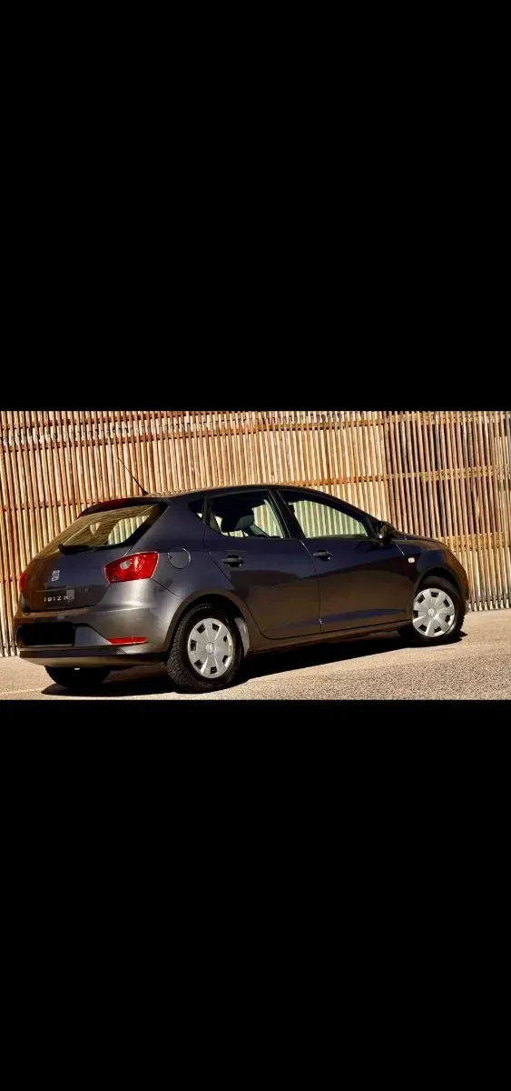 Seat Ibiza 2014 photo 3