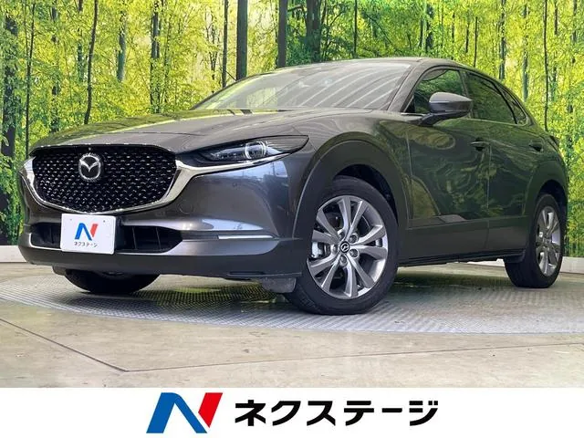 Mitsubishi Cx-30