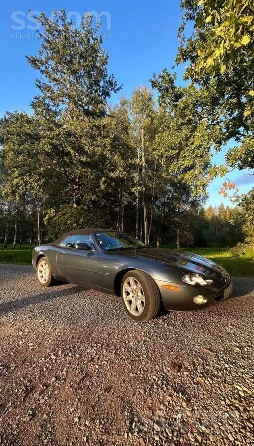 Jaguar Xk