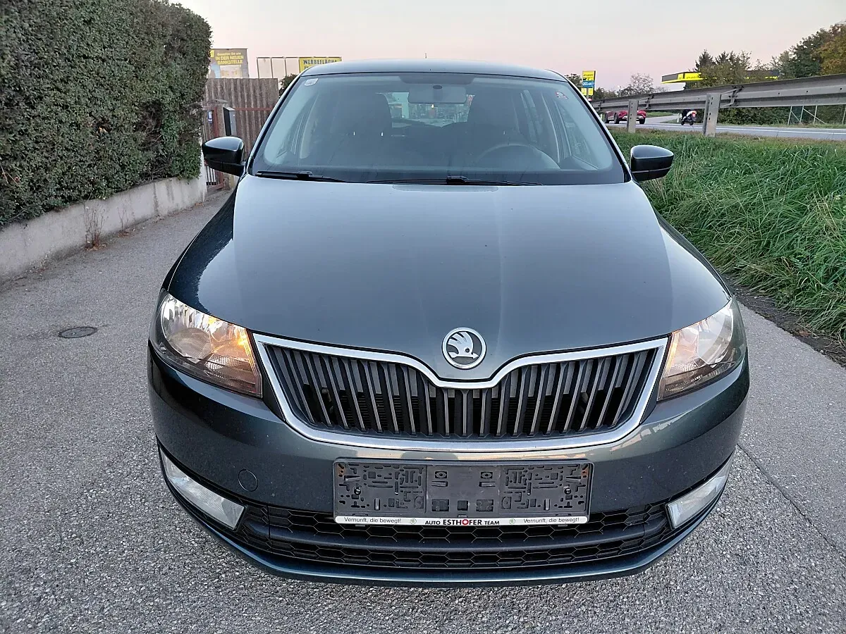 Skoda Rapid 2015 photo 2