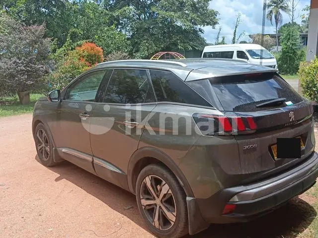 Peugeot 3008 2019 photo 2