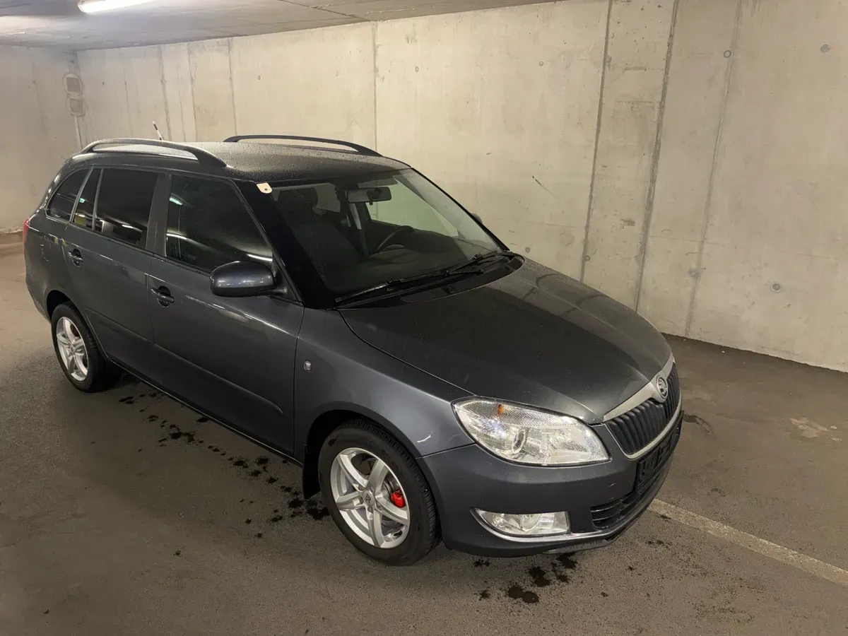 Skoda Fabia 2010 photo 2
