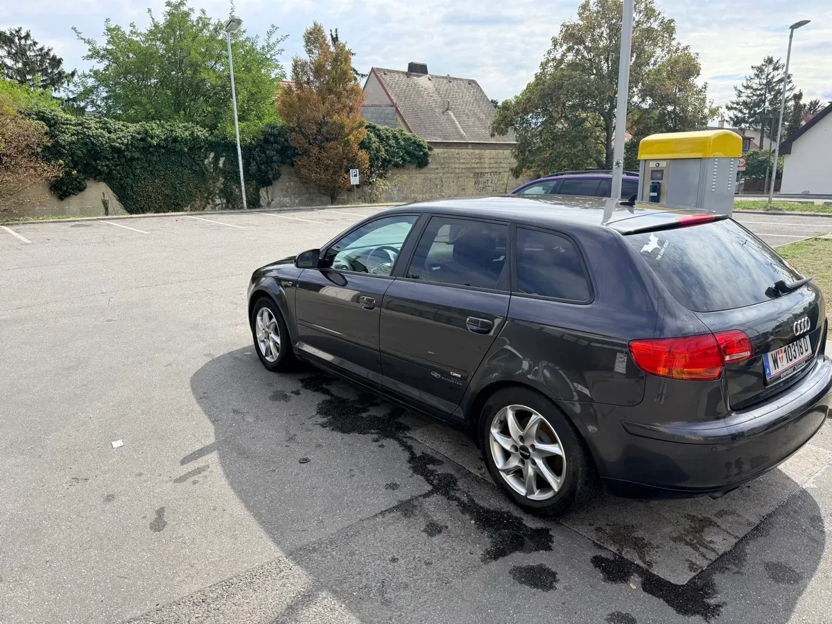Audi A3 2008 photo 2