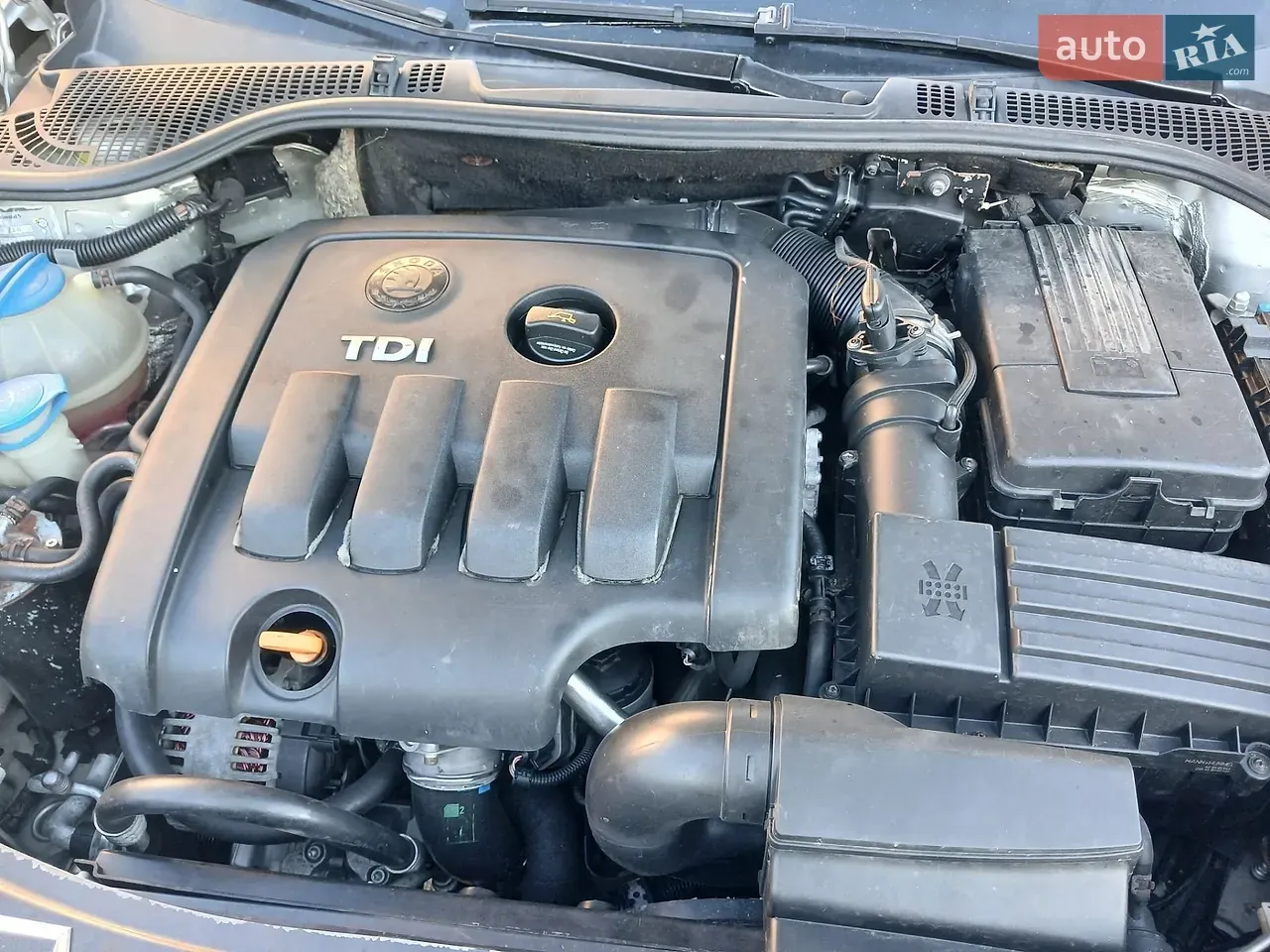 Skoda Octavia 2006 photo 3