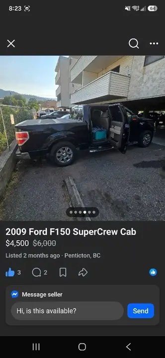 Ford F-150 2009 photo 3