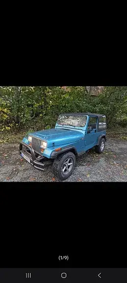 Jeep Wrangler 1994 photo 2