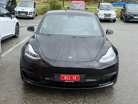 Tesla Model 3 2020 photo 2
