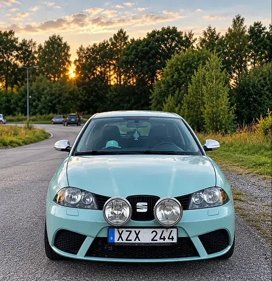 Seat Ibiza 2007 photo 2