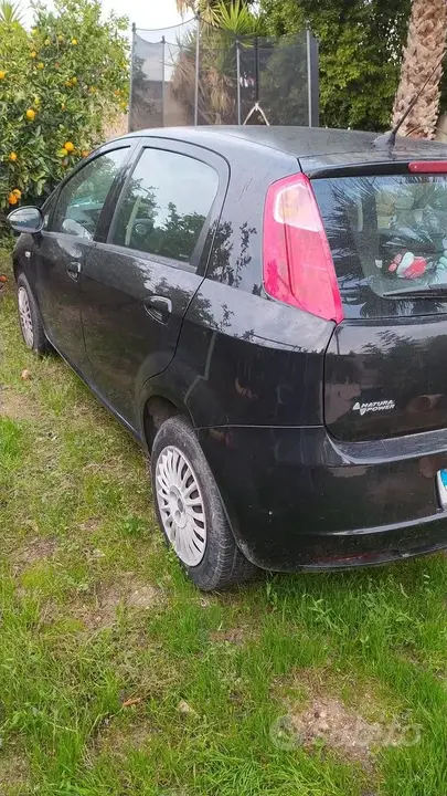 Fiat Punto 2009 photo 3