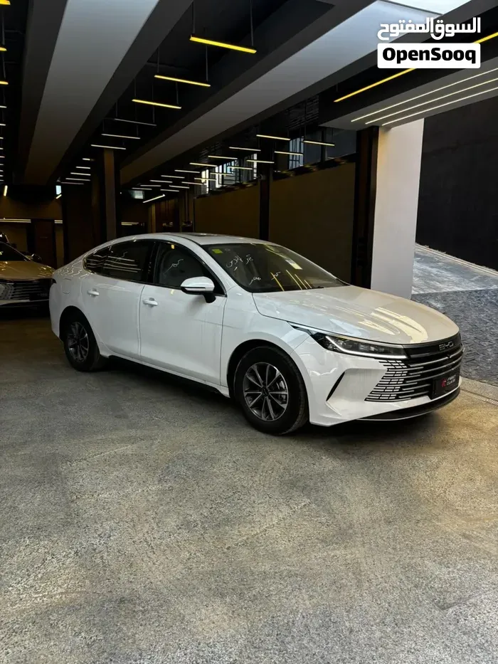 BYD Destroyer 05 2026 photo 3
