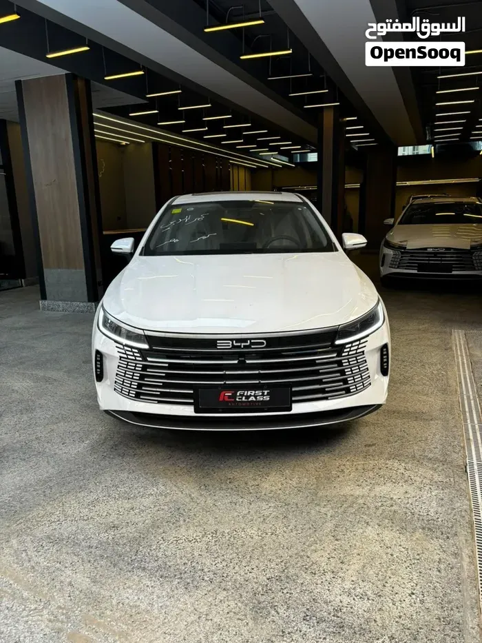 BYD Destroyer 05 2026 photo 4
