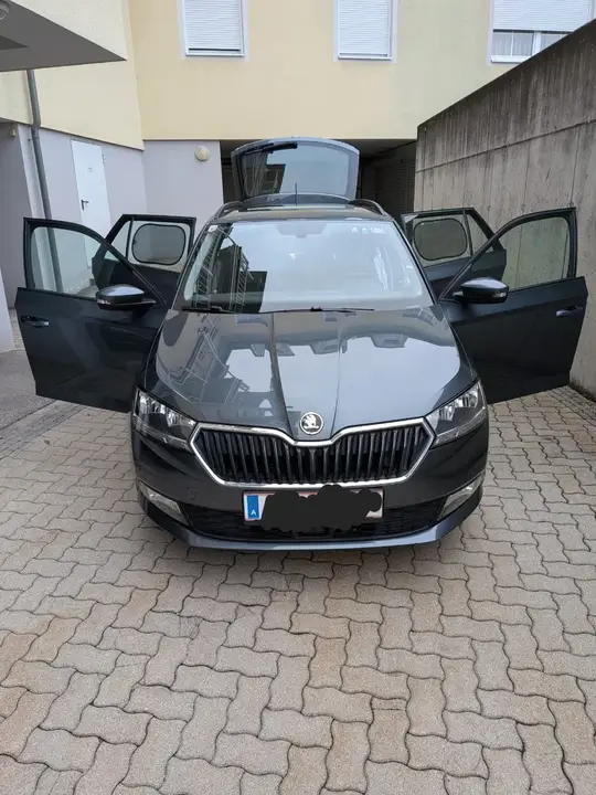 Skoda Fabia 2019 photo 2