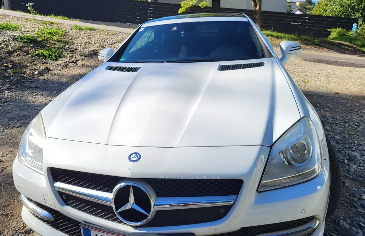 Mercedes-Benz Slk 200 Blueefficiency 2014 photo 2