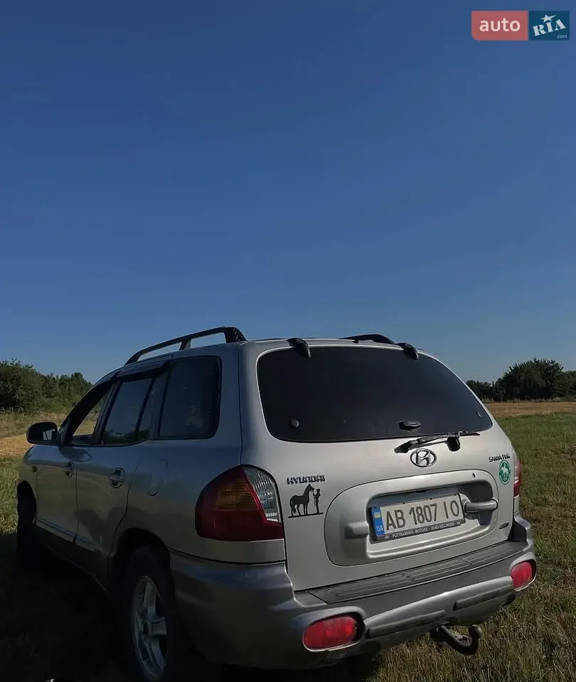 Hyundai Santa Fe 2002 photo 2