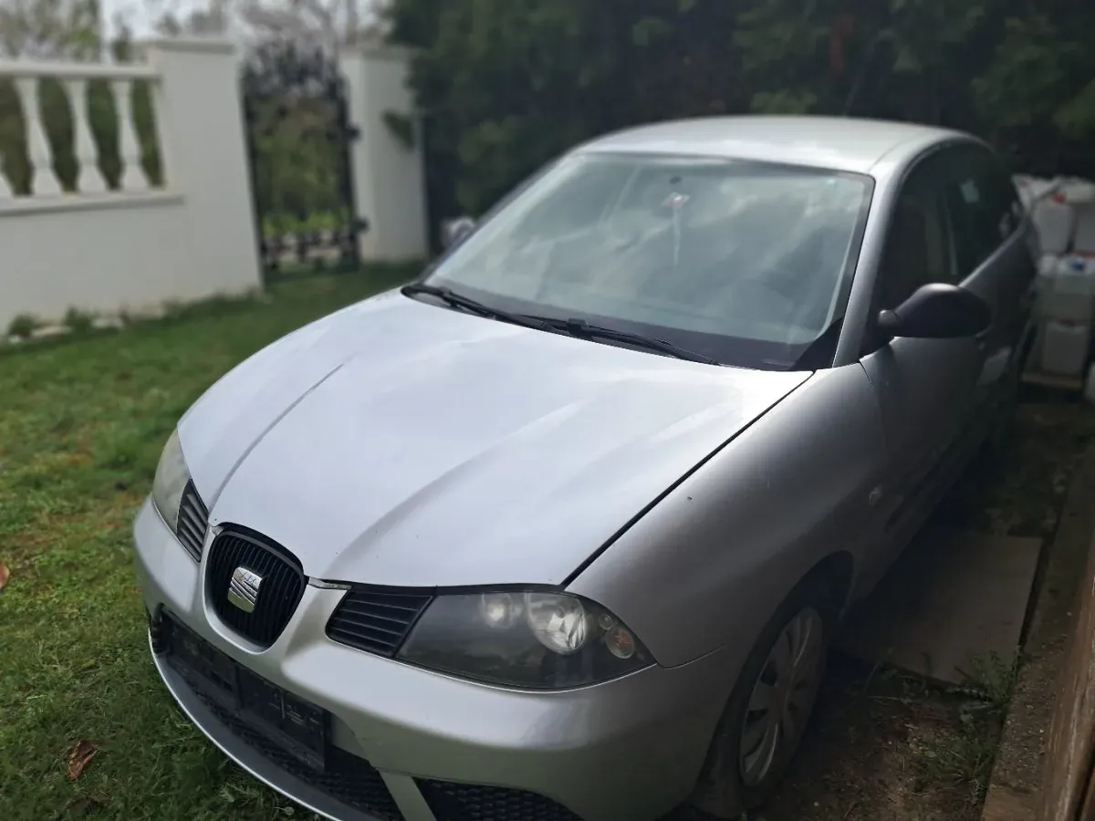 Seat Ibiza 2006 photo 2