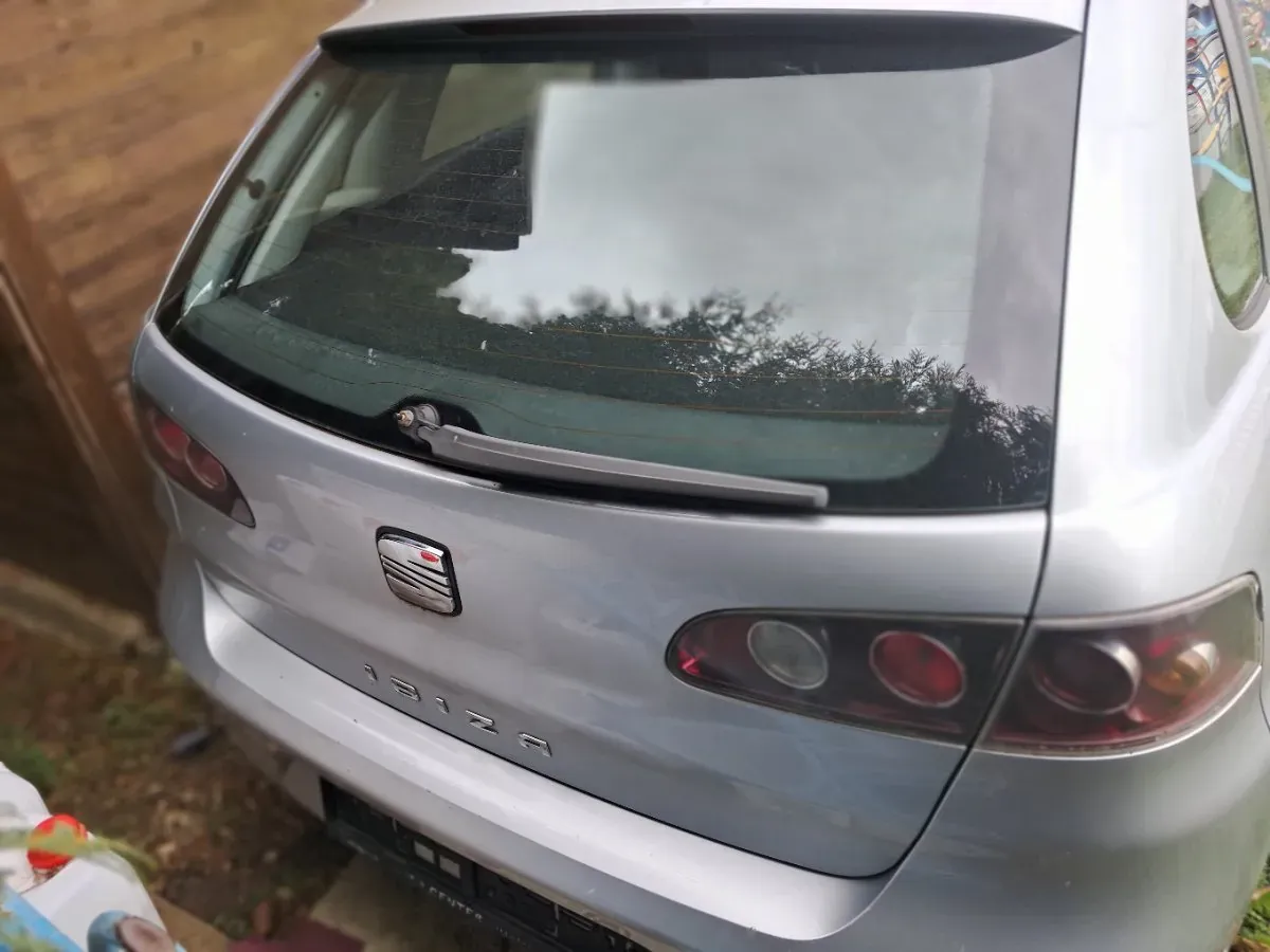 Seat Ibiza 2006 photo 3