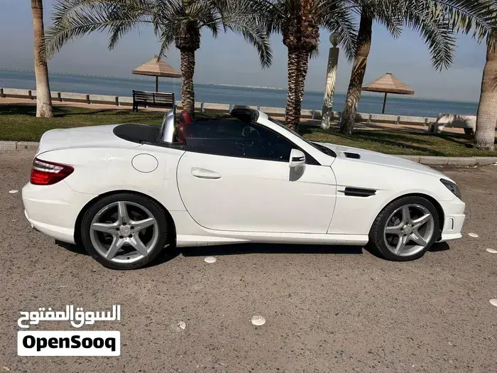Mercedes-Benz Slk 200 2014 photo 3