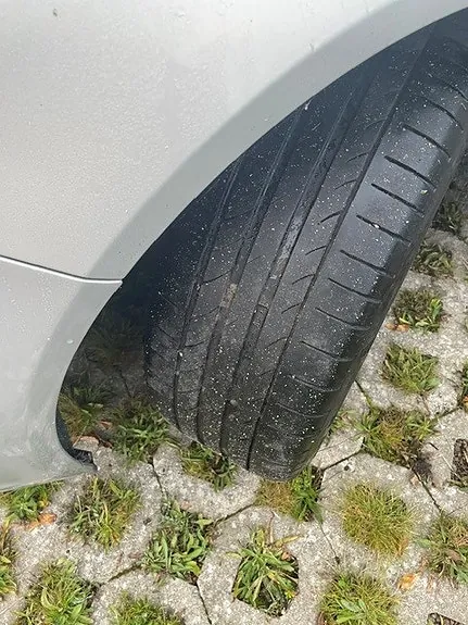 Opel Insignia 2011 photo 5