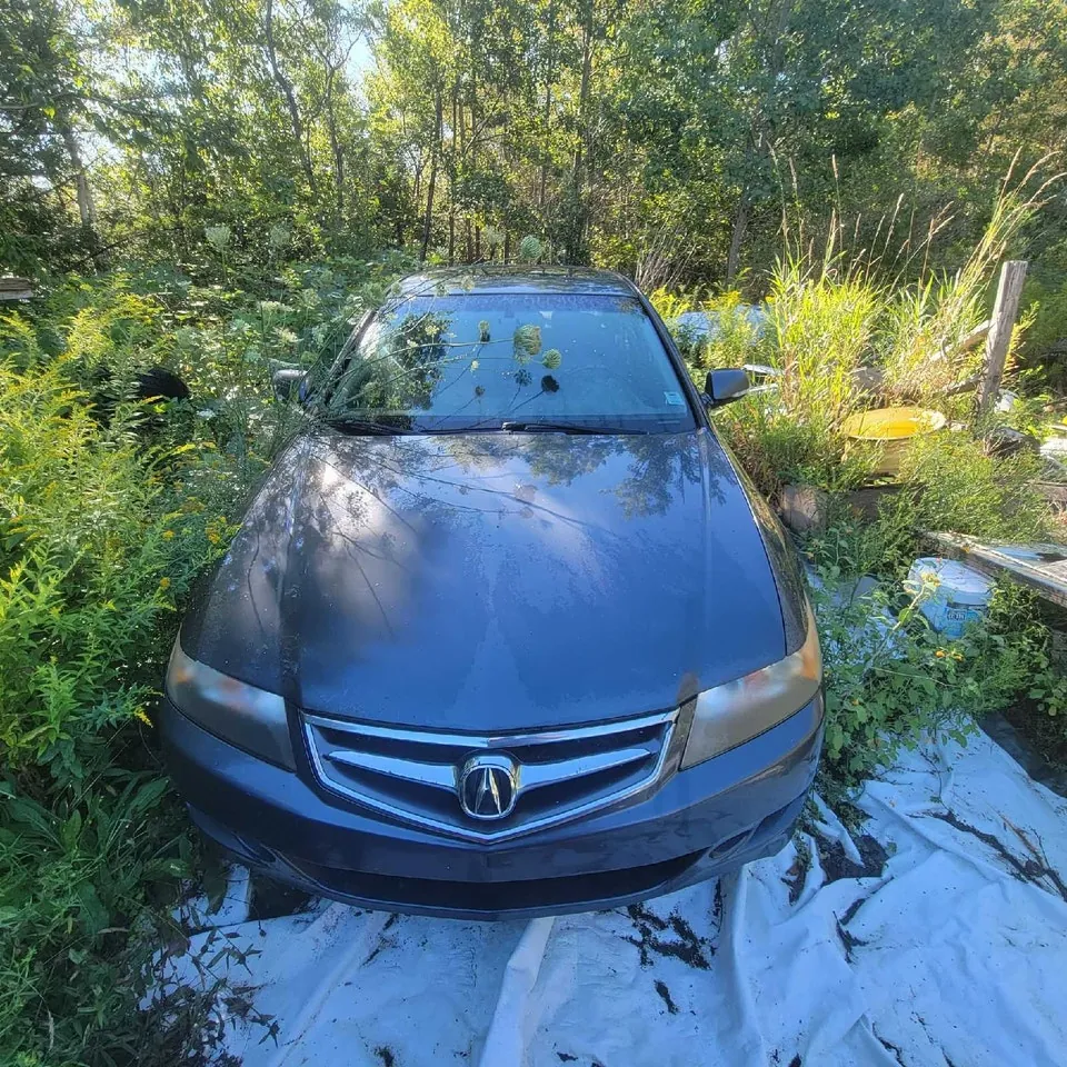 Acura Tsx
