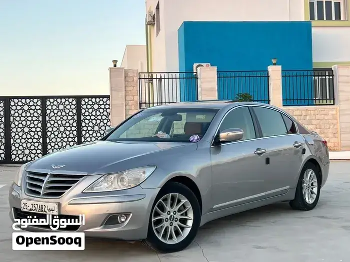 Genesis Sonata 2010 photo 5