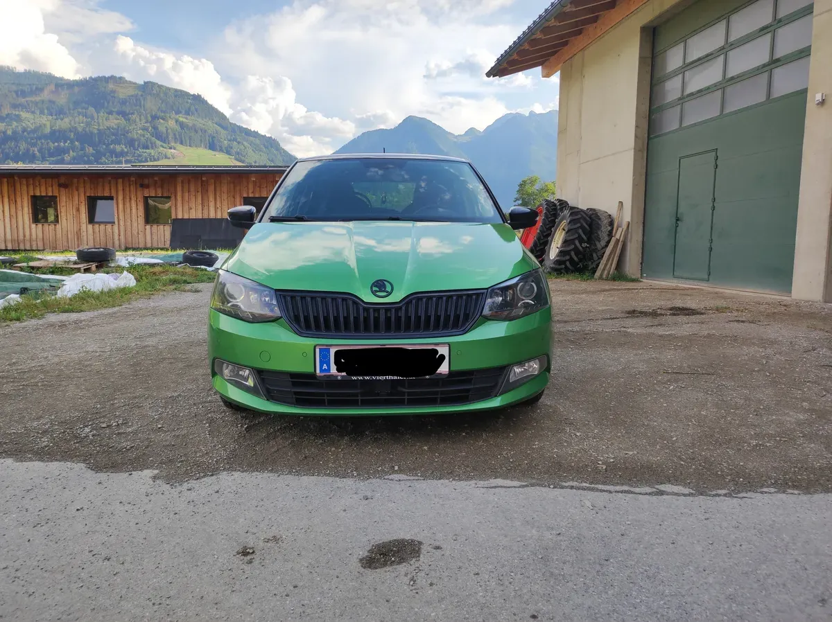 Skoda Fabia 2015 photo 3