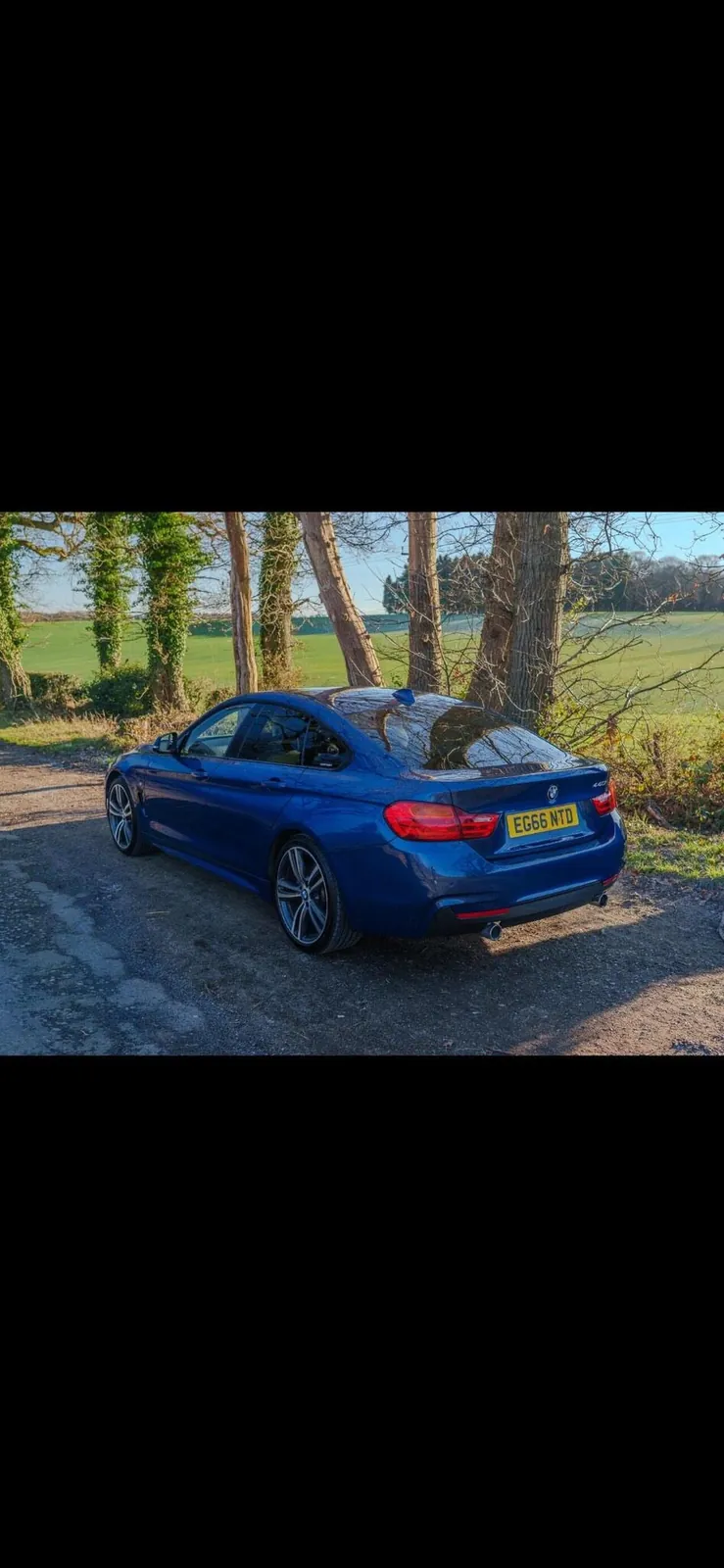 BMW 4 Series Gran Coupe 2017 photo 4