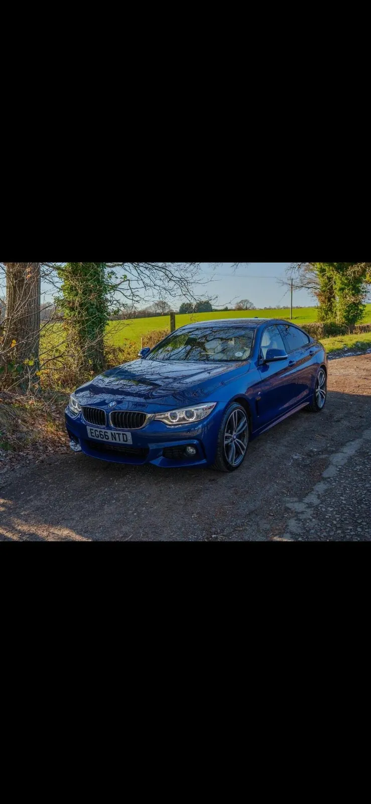 BMW 4 Series Gran Coupe 2017 photo 2