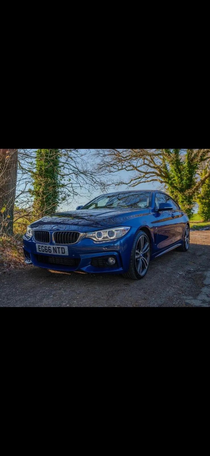 BMW 4 Series Gran Coupe 2017 photo 3