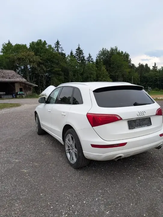 Audi Q5 2009 photo 3