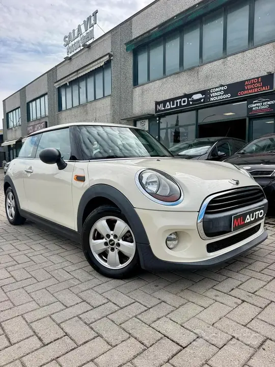 Mini Mini One