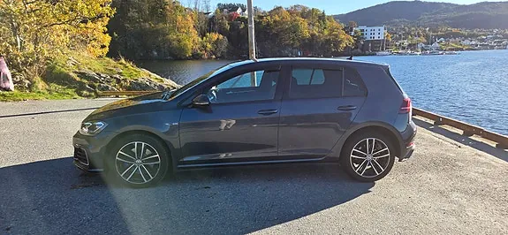 Volkswagen Golf Vii 2019 photo 3