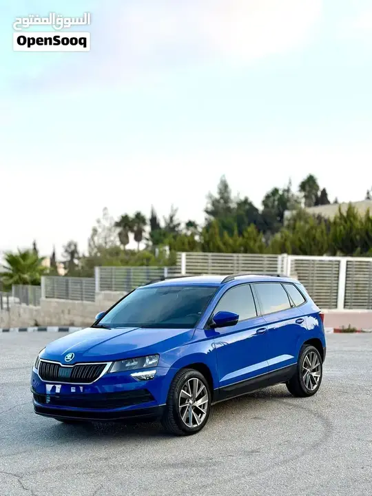 Skoda Karoq 2020 photo 2