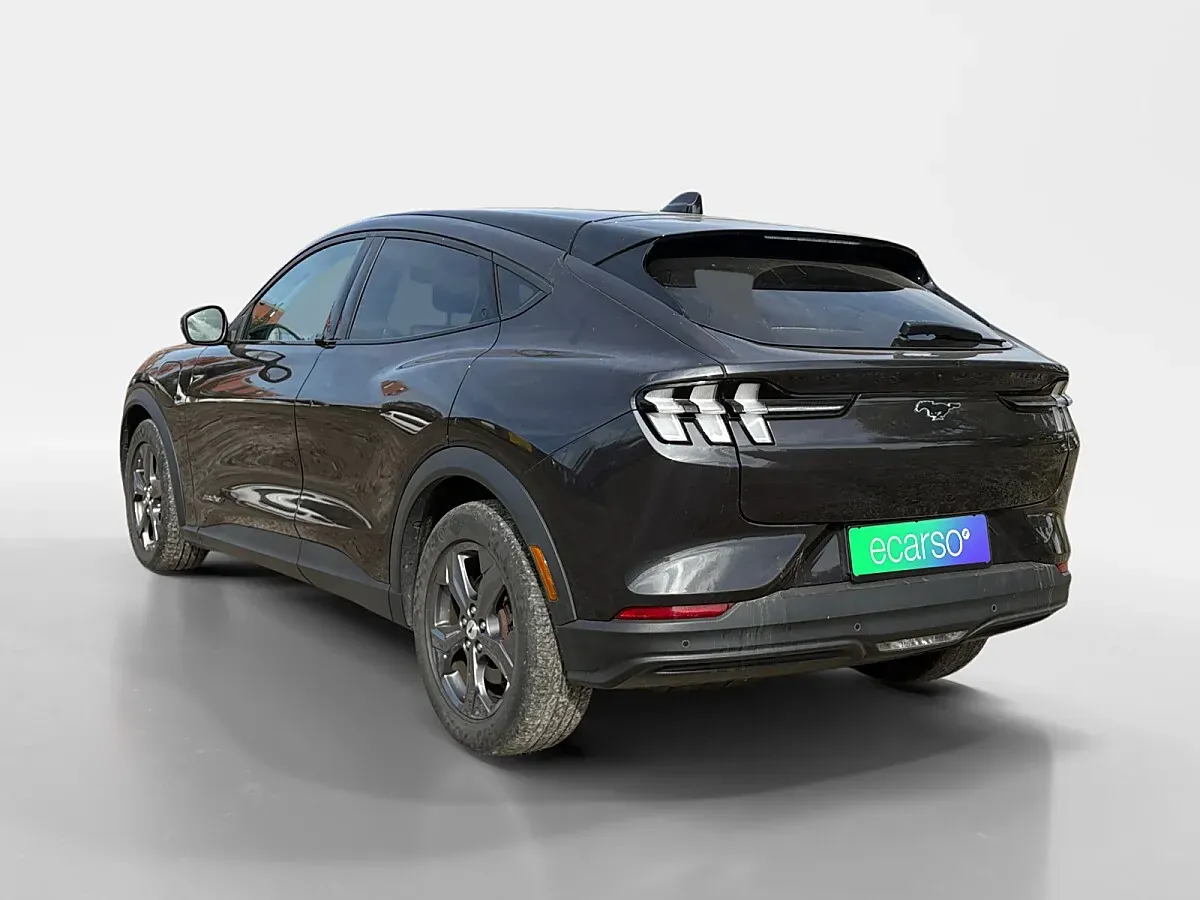 Ford Mustang Mach-E 2022 photo 3