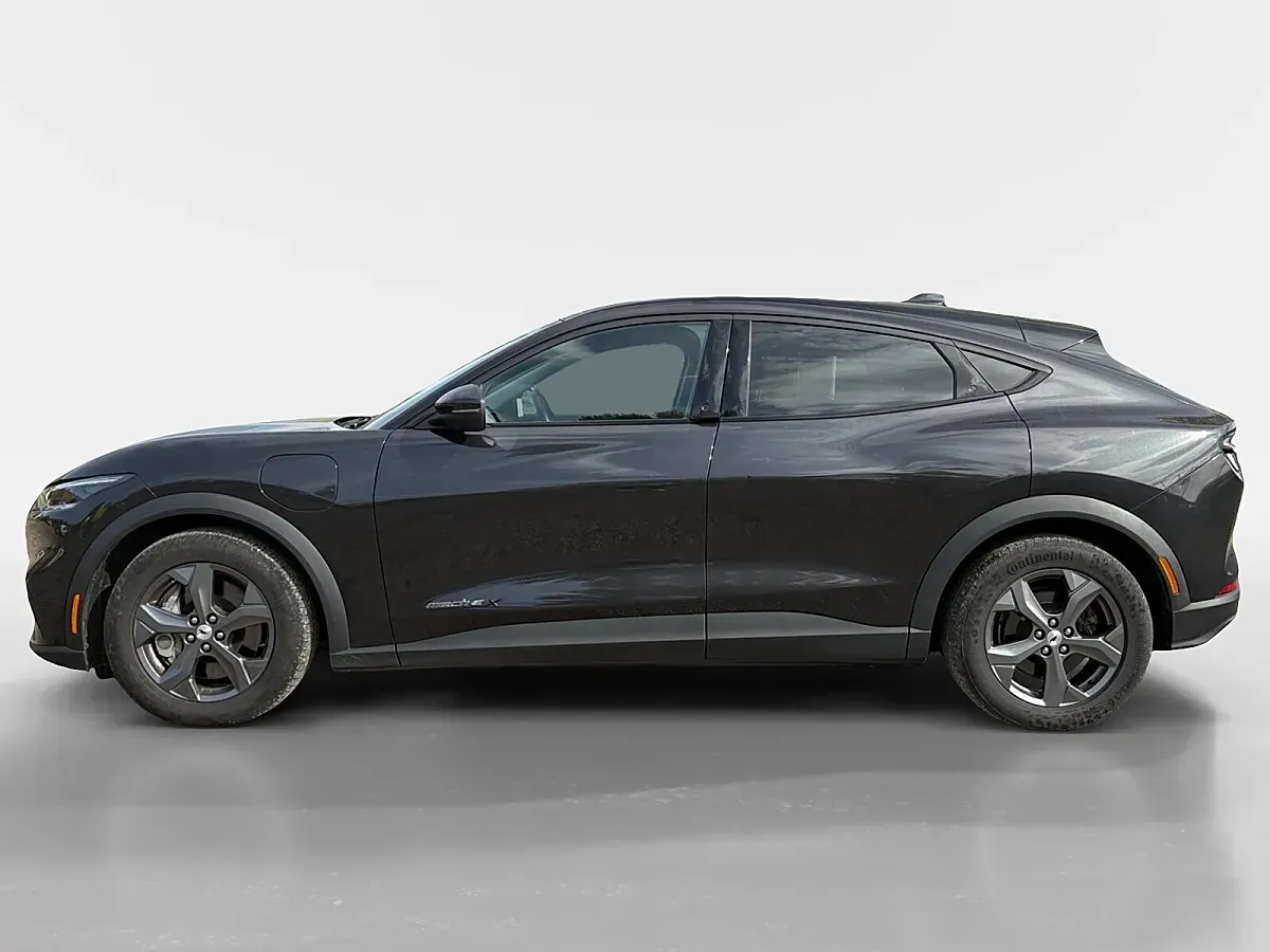 Ford Mustang Mach-E 2022 photo 2