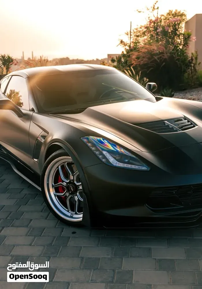 Chevrolet Corvette 2019 photo 3