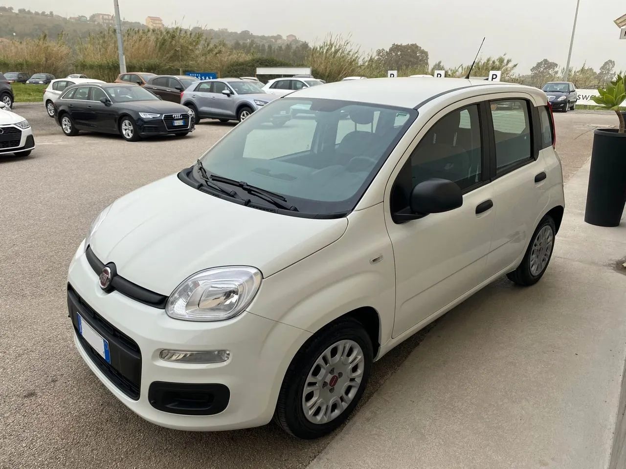 Fiat Panda 2022 photo 3